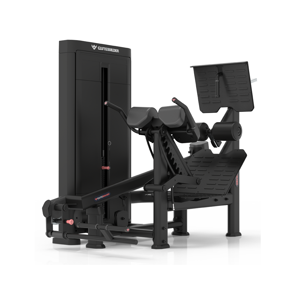 SELECTORIZED DUAL 45 HIP EXENSION