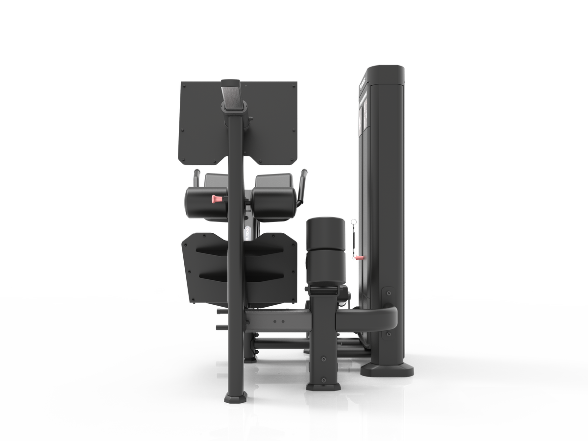 SELECTORIZED DUAL 45 HIP EXTENSION